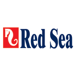 Red Sea