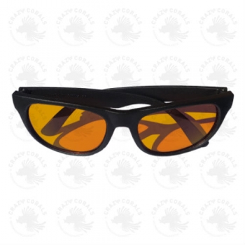 DD Coral Viewing Sunglasses