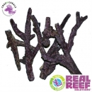 Real Reef Rock Branched 4th Generation 1Kg