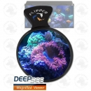Flipper DeepSee Standart 4"