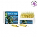 Prodibio BioKit Reef 30 Ampullen