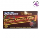 Ocean Nutrition Artemia/Brine Shrimp Eggs 50g