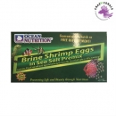 Ocean Nutrition Brine Shrimp Eggs Premix 50g