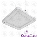 Philips CoralCare LED Gen2 Version 2020 (weiss)