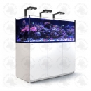 Red Sea Reefer Aquarium XXL625 Deluxe - Weiss