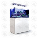 Red Sea Reefer Peninsula P500 Deluxe  Komplettsystem - Weiss (incl. 3 X RL 90 & 1x Pendant)