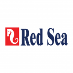 Red Sea