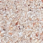 Preview: Natures Ocean Hawaiian Puka Shell 3-4mm