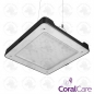 Preview: Philips CoralCare LED Gen2 Version 2020 (schwarz)