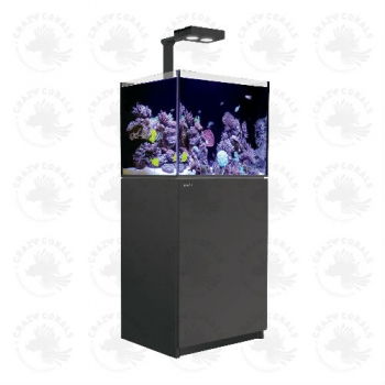 Red Sea REEFER Aquarium 170 Deluxe Schwarz (60 cm Länge / 130 Liter)nge / 130 Liter)