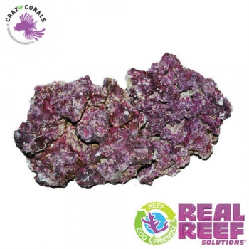 Preview: Real Reef Original Rock - Small/Medium 25Kg