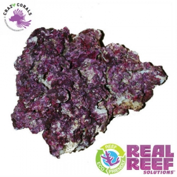 Real Reef Rock 4th Generation Mixed 1Kg