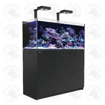 Red Sea REEFER Aquarium 350 Deluxe Schwarz (120 cm Länge / 275 Liter)
