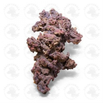 Preview: CaribSea LifeRock XL Arch 61cm (2x Bögen)