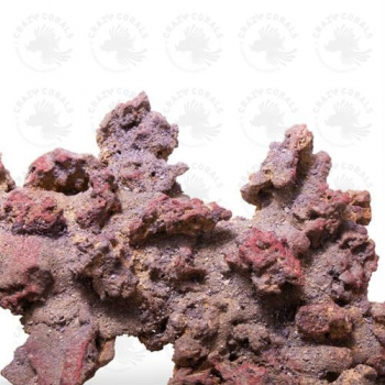 Preview: CaribSea LifeRock XL Arch 61cm (2x Bögen)