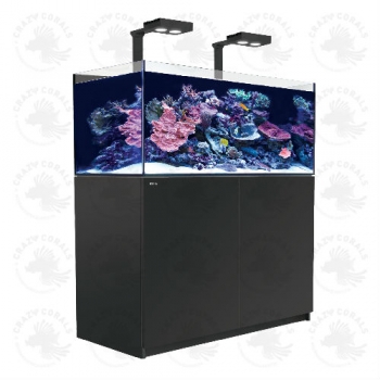 Red Sea REEFER Aquarium 425XL Deluxe Schwarz (120 cm Länge / 422 Liter)