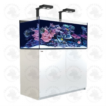 Red Sea REEFER Aquarium 425XL Deluxe Weiss (120 cm Länge / 422 Liter)