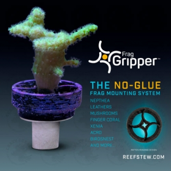 Preview: VCA Frag Gripper No-Glue-Frag Mounting System Black