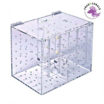 Acrylic quarantaine case 250x170x200mm double (Schwimmschule)