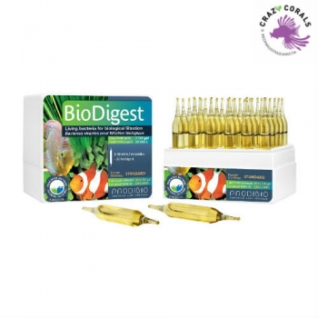 Prodibio BioDigest 12 Ampullen