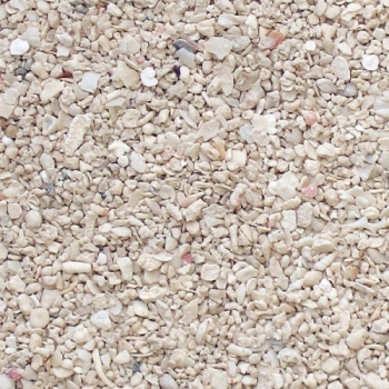 Preview: CaribSea Arag-Alive Special Grade Reef Sand 1.0 - 2.0 mm 9,07 kg