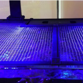 Red Sea Aquariumabeckung für Reefer Nano, Reefer 170/DLX, MAX Nano und MAX E-170 60x60cm R42080