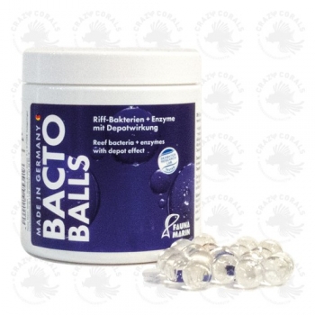 Bacto Reef Balls 250ml Riff-Bakterien + Enzyme mit Depotwirkung