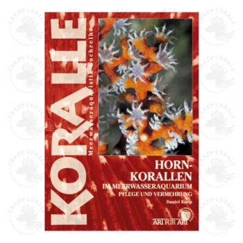 Hornkorallen im Meerwasseraquarium