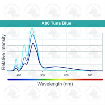 Kessil A80 Tuna Blue