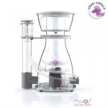 NYOS QUANTUM 300