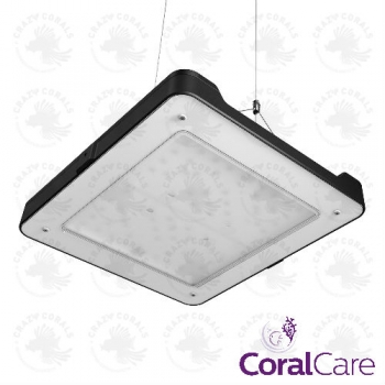 Philips CoralCare LED Gen2 Version 2020 (schwarz)