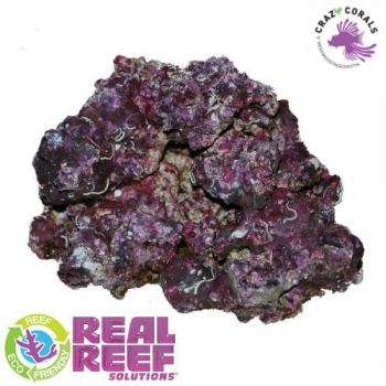 Real Reef Rock Mixed Box 4th Generation 25Kg