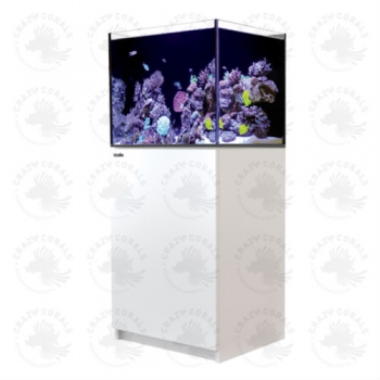 RED SEA REEFER Aquarium 170 Weiß