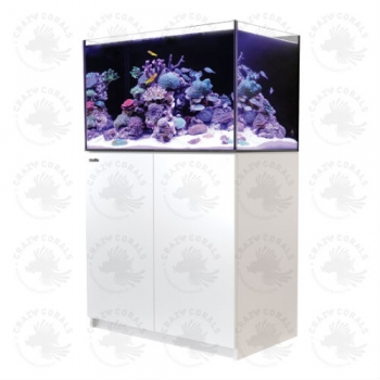 RED SEA REEFER Aquarium 250 Weiß