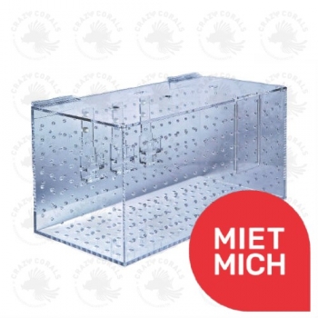 Schwimmschule Grösse XL 500x250x250mm single- Miete mich!