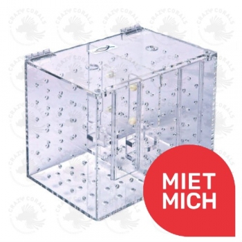 Schwimmschule Grösse L 250x170x200mm double - Miete mich!