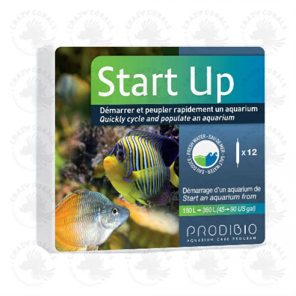 Prodibio Start Up 30 Ampullen