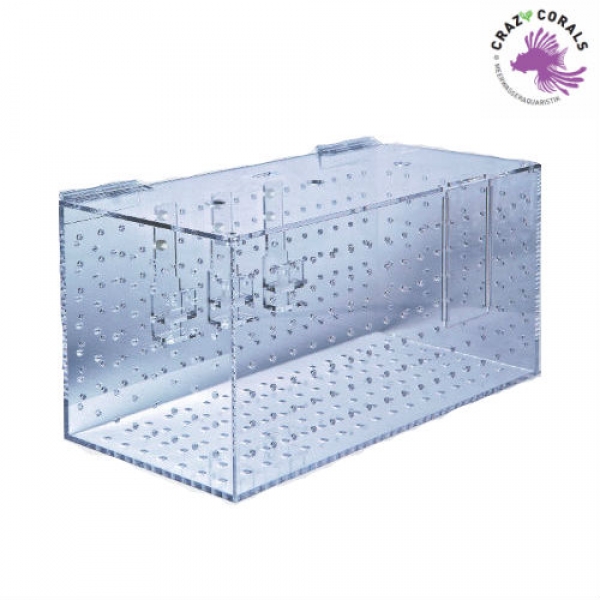 Acrylic quarantaine case 500x250x250mm single (Schwimmschule)