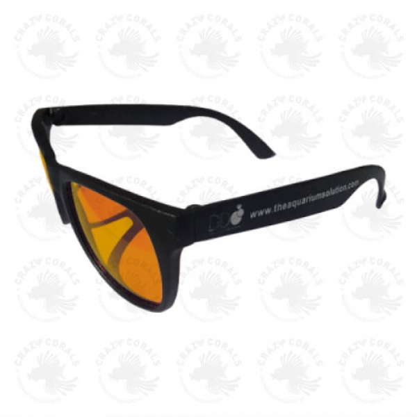 DD Coral Viewing Sunglasses