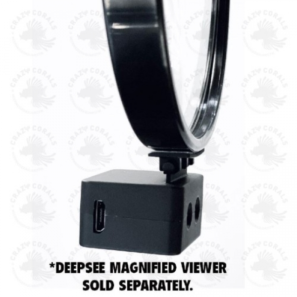 Flipper DeepSee SpotLight Kit