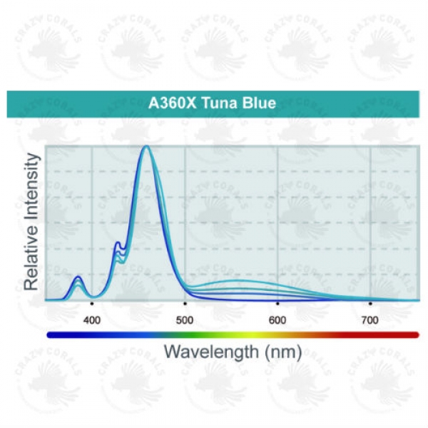 Kessil LED A360X Tuna Blue