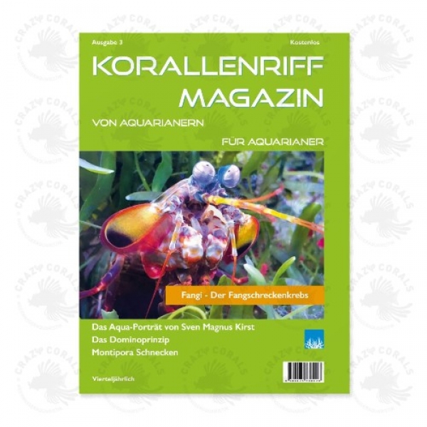 Korallenriff Magazin Ausgabe 3