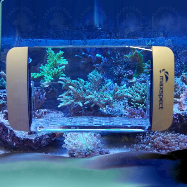 Maxspect Fragnifier - Acryllupe/ Glasreinigungsmagneten/ Fragholder