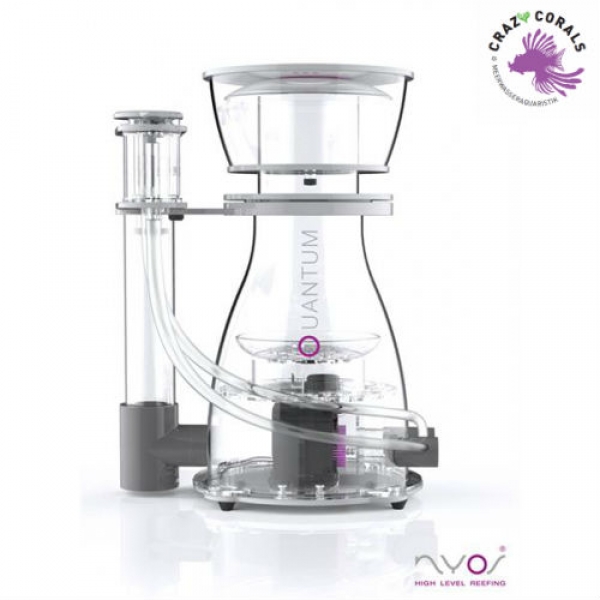 NYOS QUANTUM 300