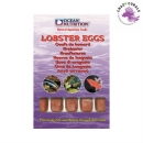 Ocean Nutrition Lobster Eggs